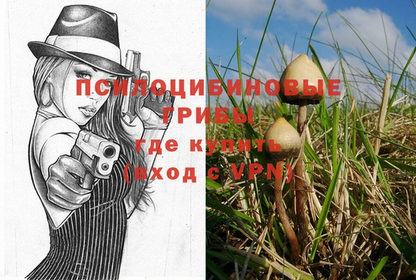 стаф Абдулино