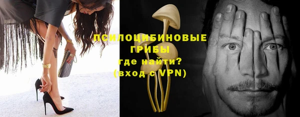 метадон Покачи