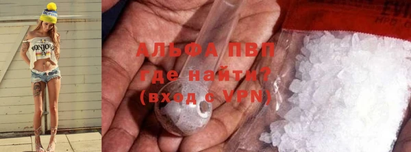 стаф Абаза