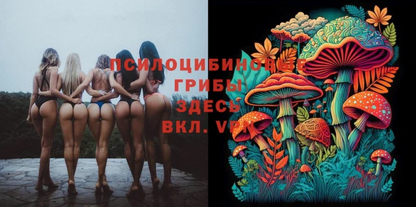 стаф Абаза