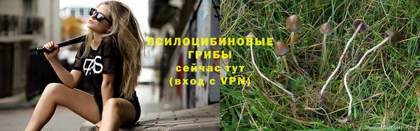 амф Алзамай
