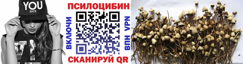 Галлюциногенные грибы мицелий  Яровое 
